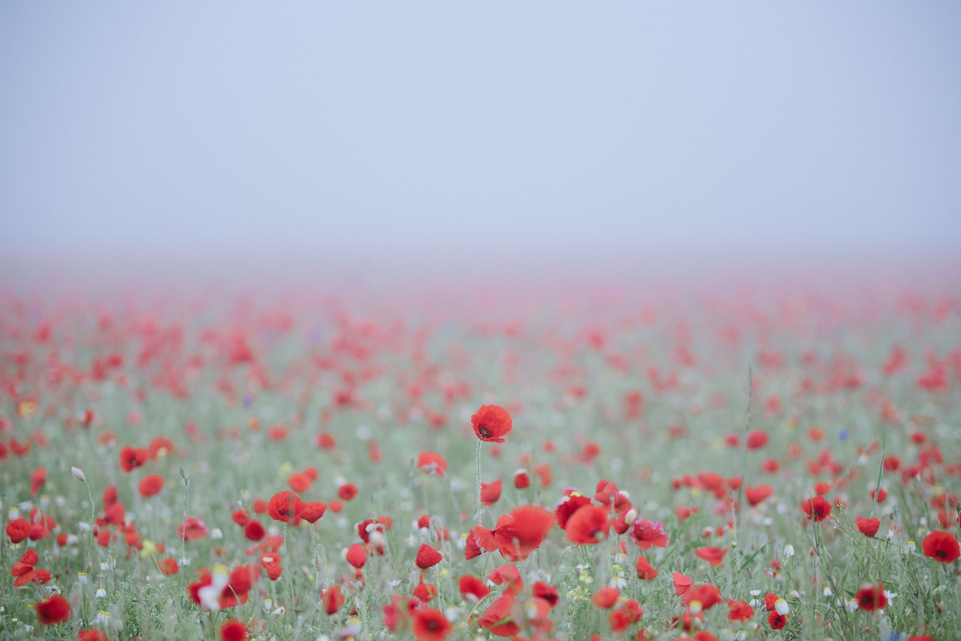 rememberance